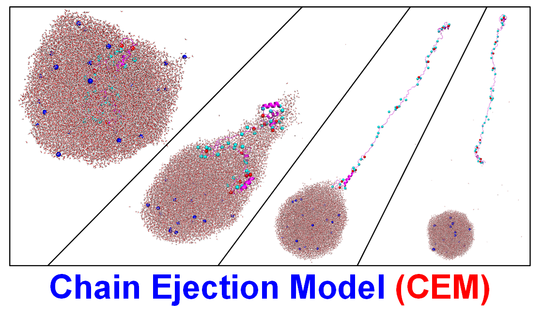 Chain Ejection Model for Electrospray Ionization of Unfolded Proteins: Evidence from Atomistic Simulations and Ion Mobility Spectrometry