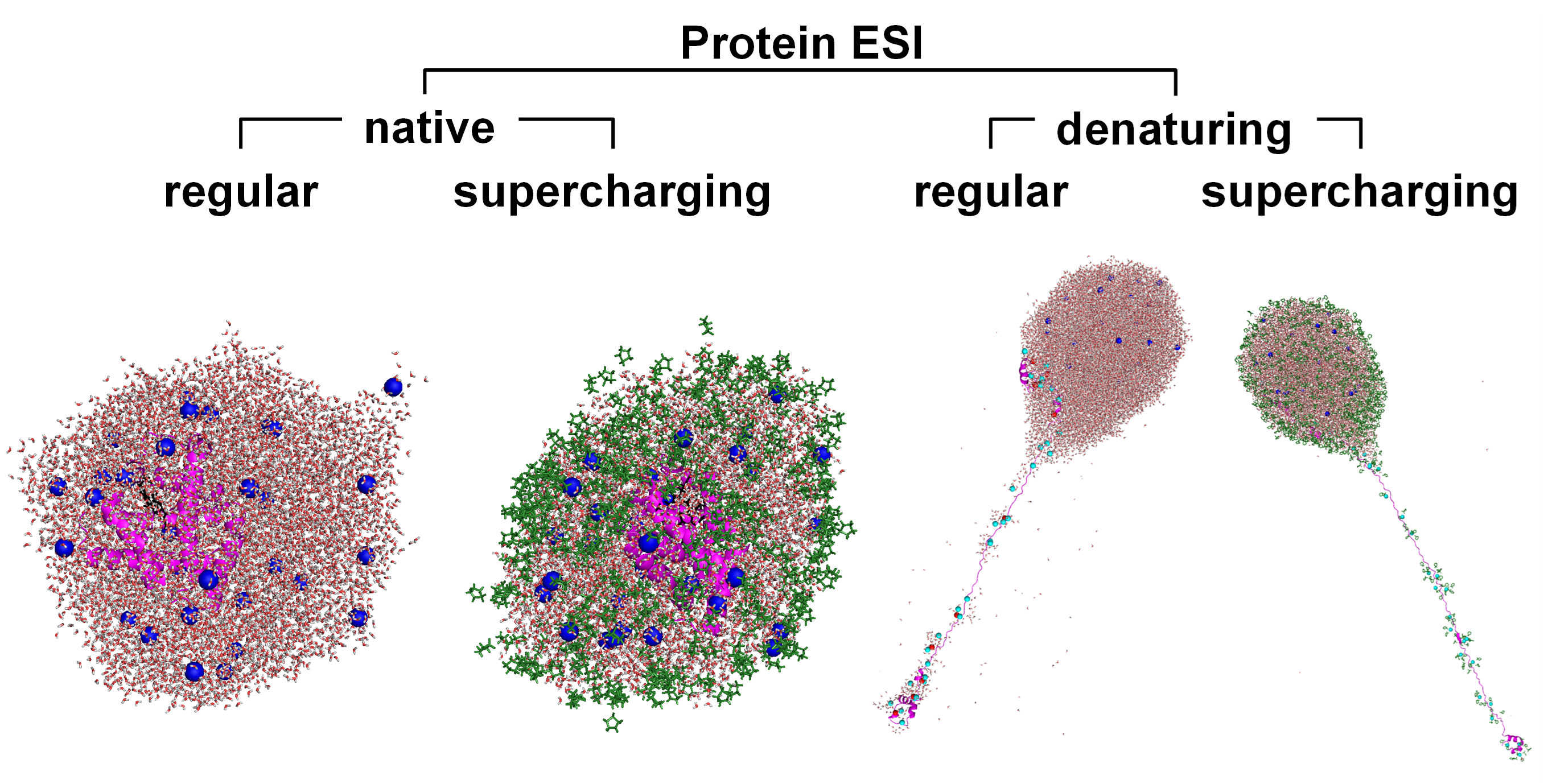 Charging and supercharging of proteins for mass spectrometry: Recent insights into the mechanisms of electrospray ionization