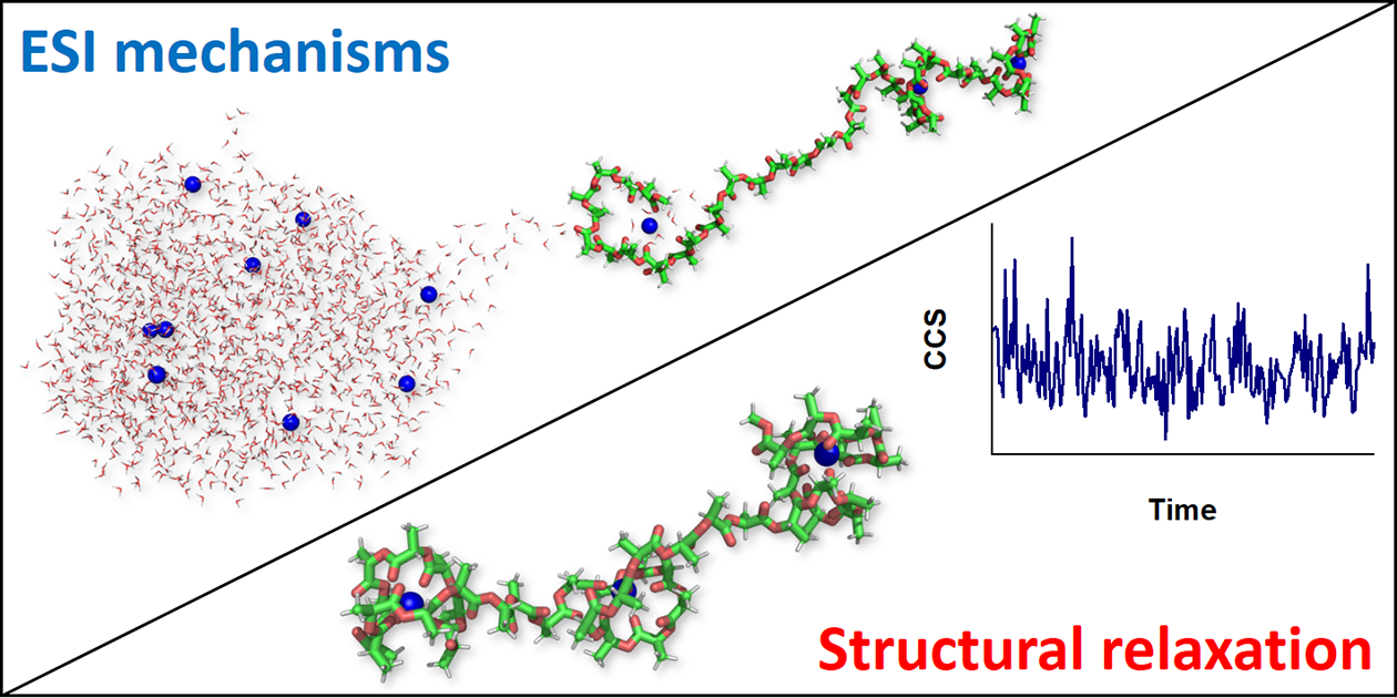 Effects of electrospray mechanisms and structural relaxation on polylactide ion conformations in the gas phase: insights from ion mobility spectrometry and molecular dynamics simulations