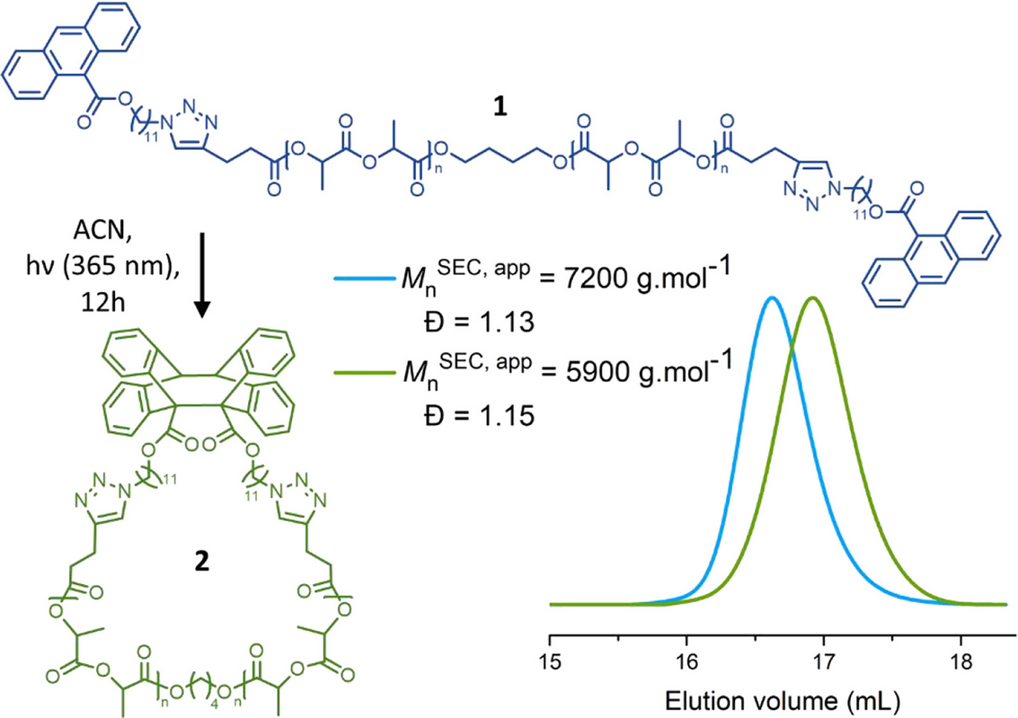 Limitations of ion mobility spectrometry-mass spectrometry for the relative quantification of architectural isomeric polymers: A case study