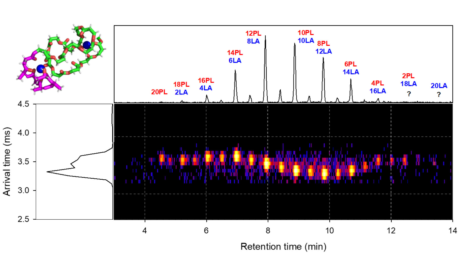 Assessing the Structural Heterogeneity of Isomeric Homo and Copolymers: an Approach Combining Ion Mobility Mass Spectrometry and Molecular Dynamics Simulations