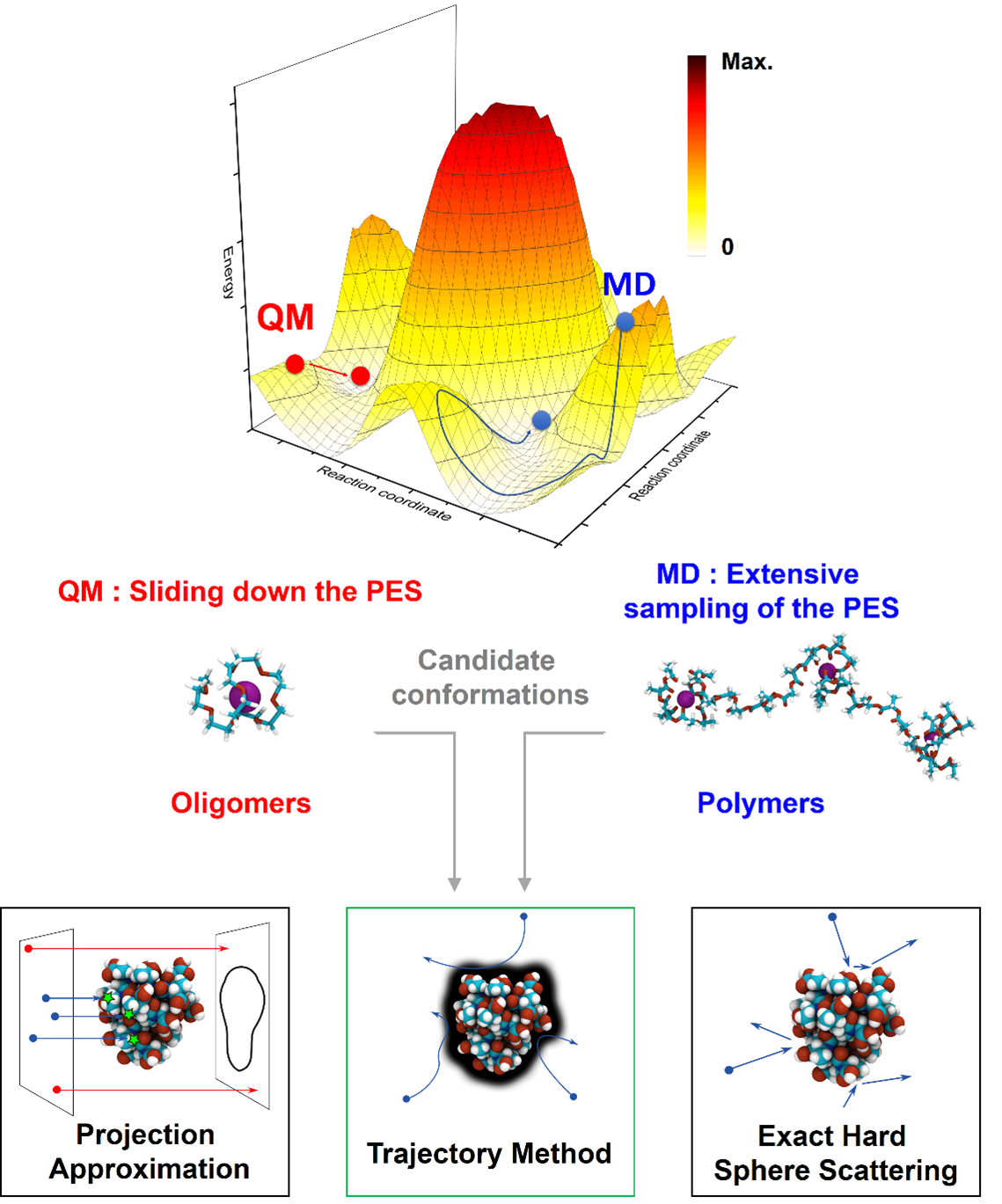 Gas-phase structure of polymer ions: Tying together theoretical approaches and ion mobility spectrometry