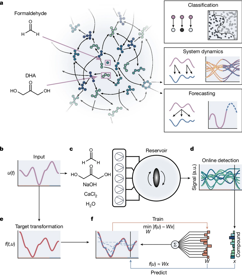 Chemical reservoir computation in a self-organizing reaction network (Open Access)