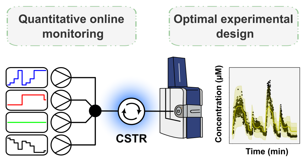 Quantitative Online Monitoring of an Immobilized Enzymatic Network by Ion Mobility–Mass Spectrometry (Open Access)