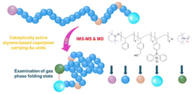 Ion mobility mass spectrometry coupled with molecular dynamics simulations: in-depth structural analysis of polystyrene-based Au-containing copolymers
